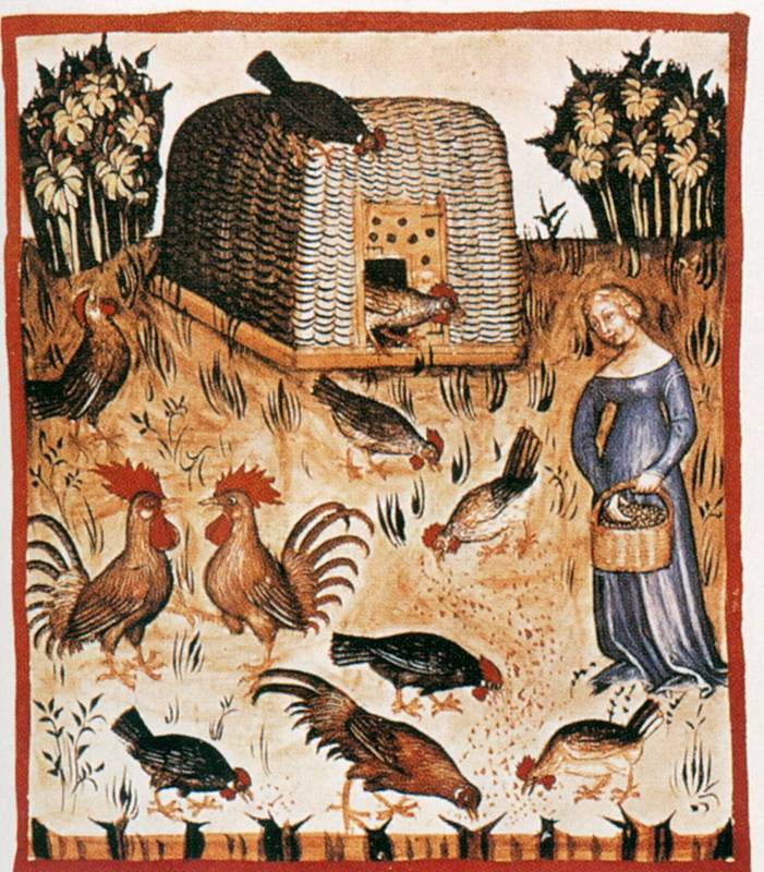 Tacuinum Sanitatis in Medicina