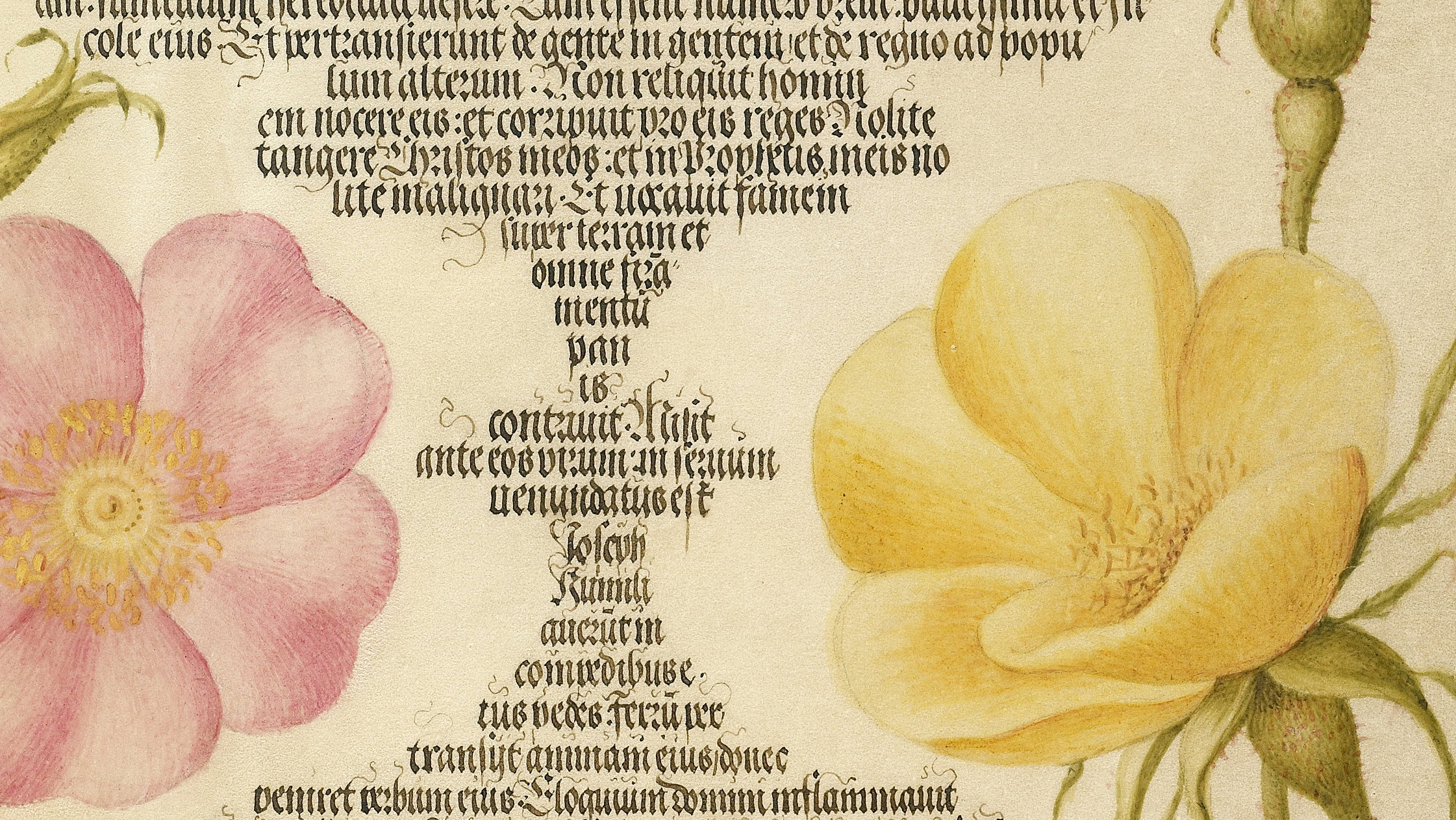 Mira calligraphiae monumenta 0022.jpg