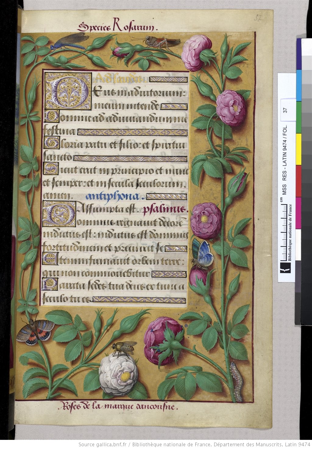 Riches heures Anne de Bretagne 0008.jpeg