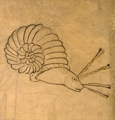 d03d02.jpg