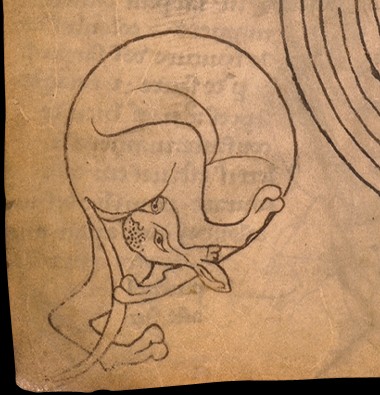 d14d01.jpg