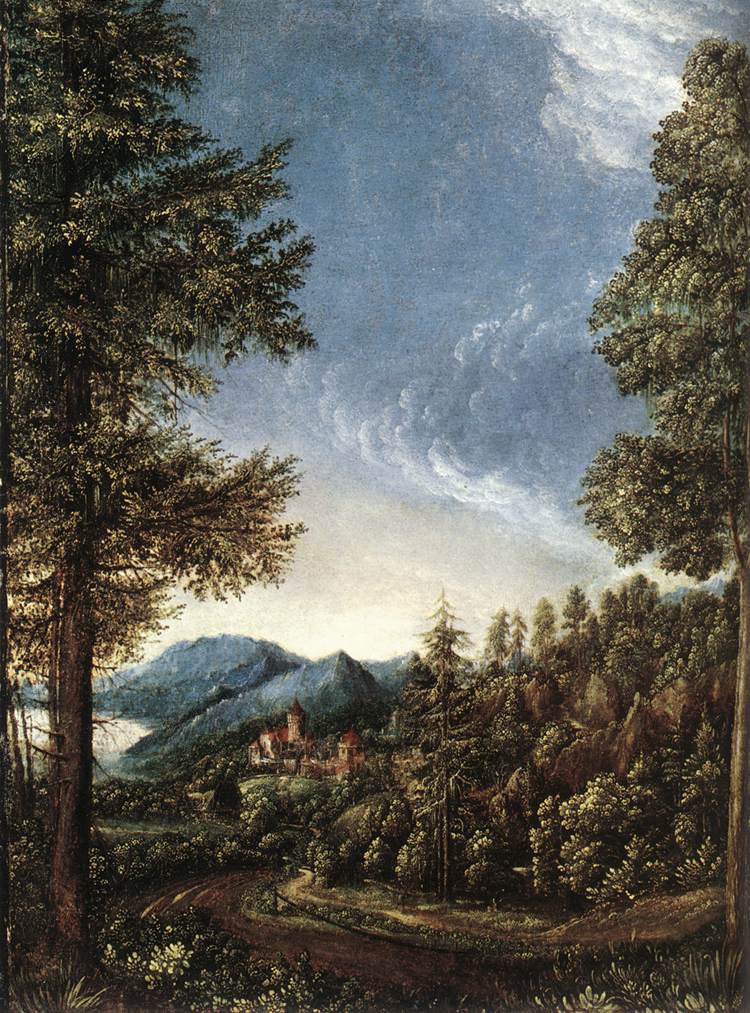Paysage danubien