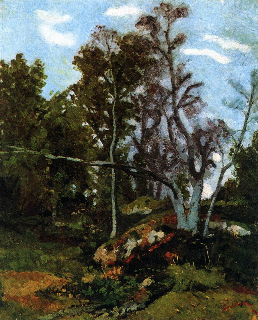 Lisière de la forêt