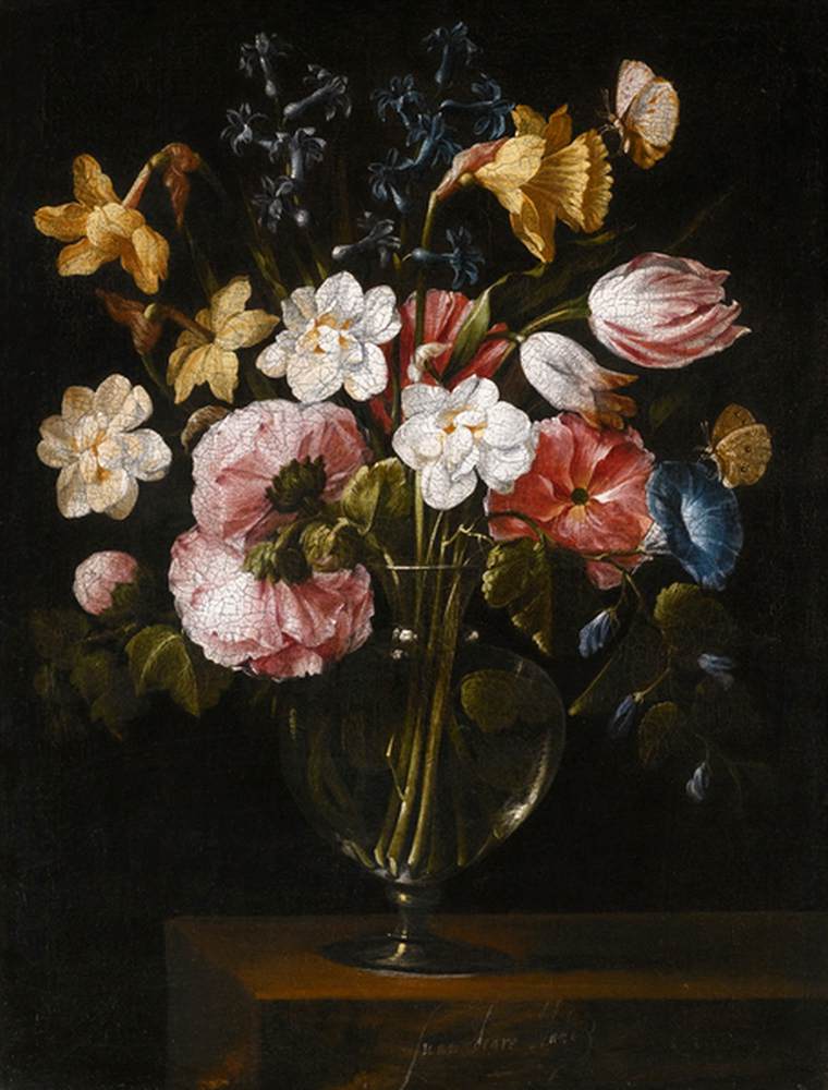 nature-morte