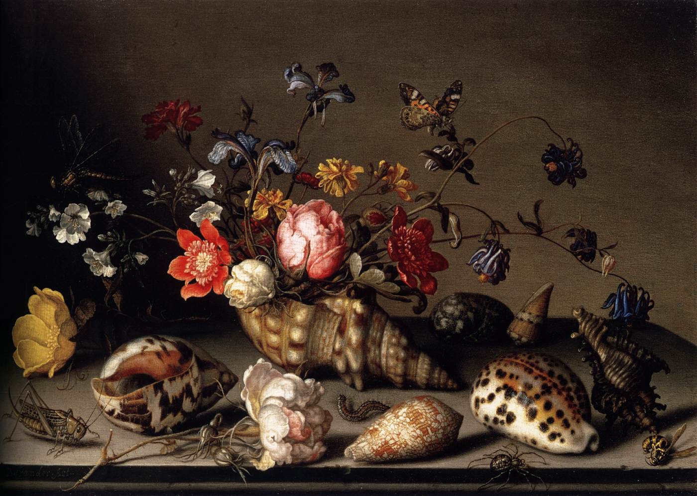 Nature morte de fleurs, coquillages et insectes