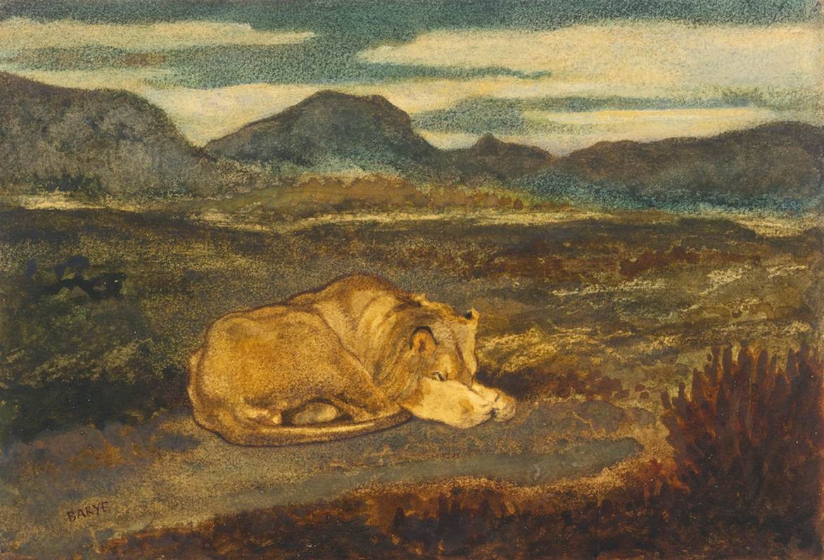 Lion endormi