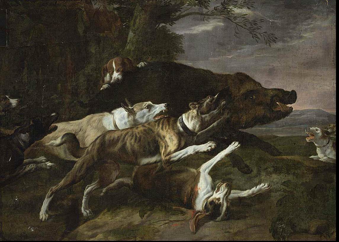 Chiens attaquant un sanglier