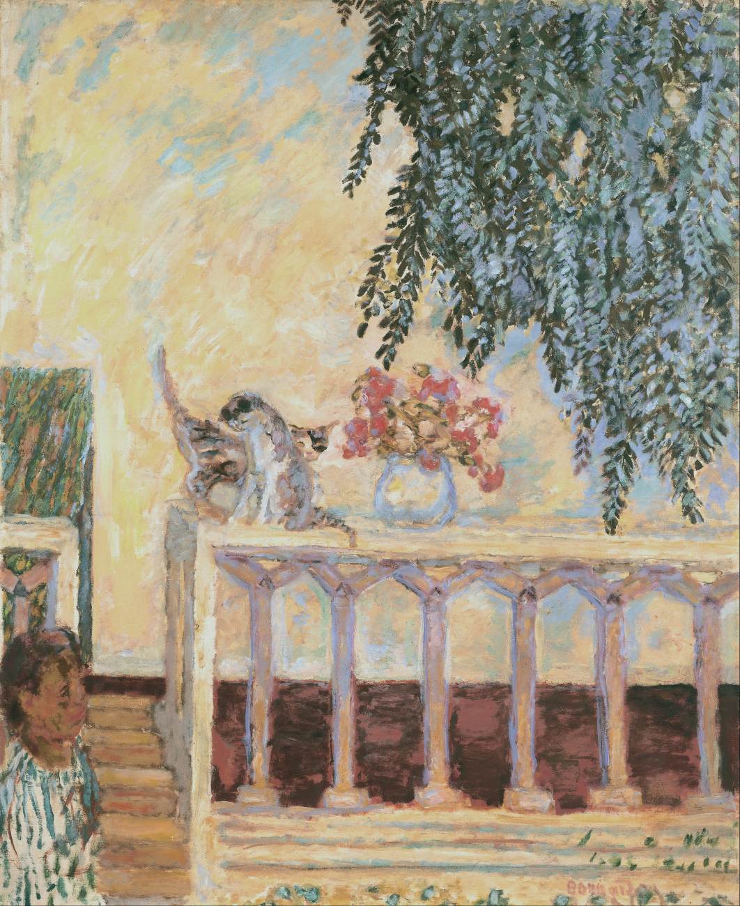 Chats sur la balustrade