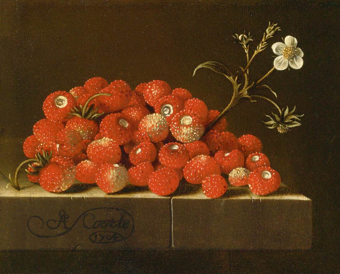 Fraises des bois sur un rebord