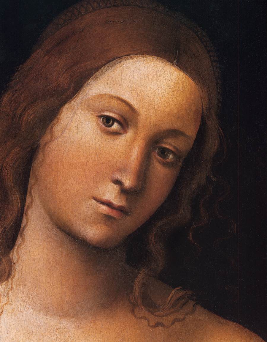 Vénus (détail)