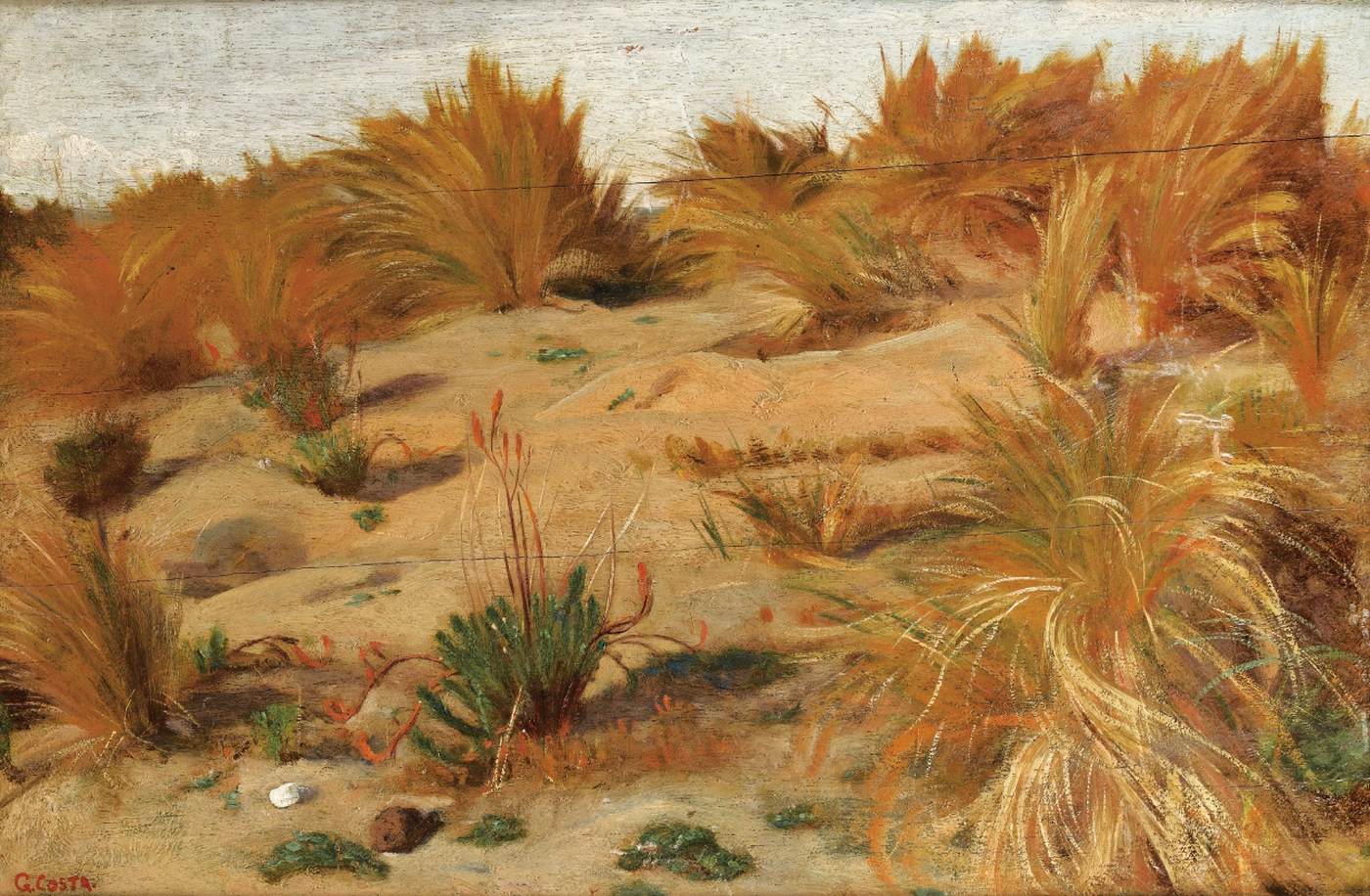 Une dune