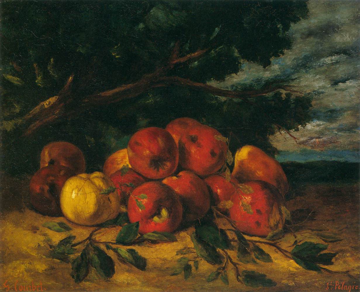 Pommes rouges au pied d'un arbre