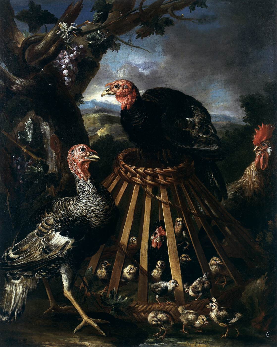 Dindons, coq, poule et poussins à la campagne