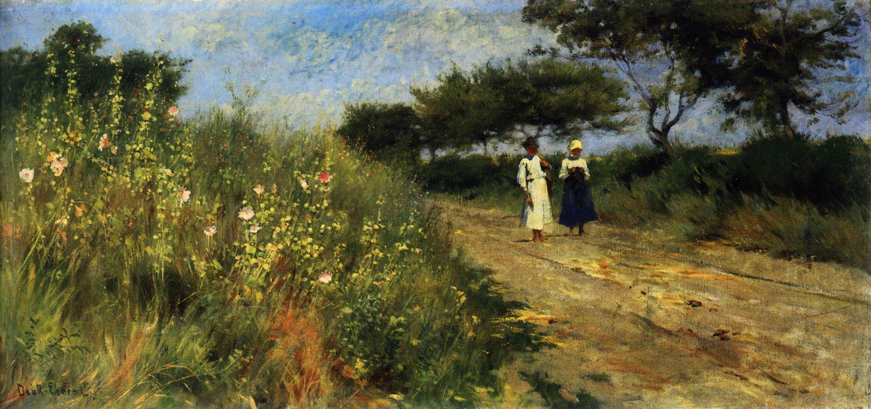 Route des mauves sauvages