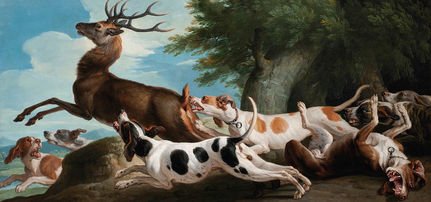 La chasse au cerf