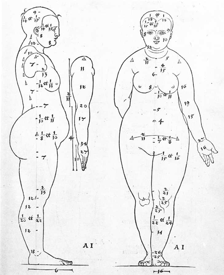 Vue de profil et de face du type de tête féminine n°7