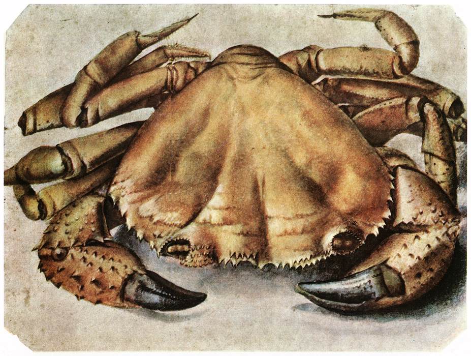 Crabe