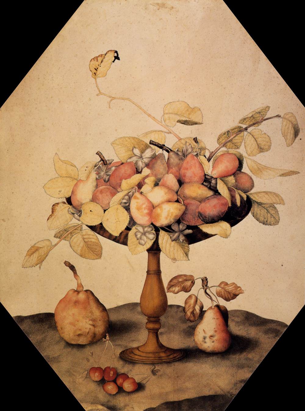 Coupe aux prunes
