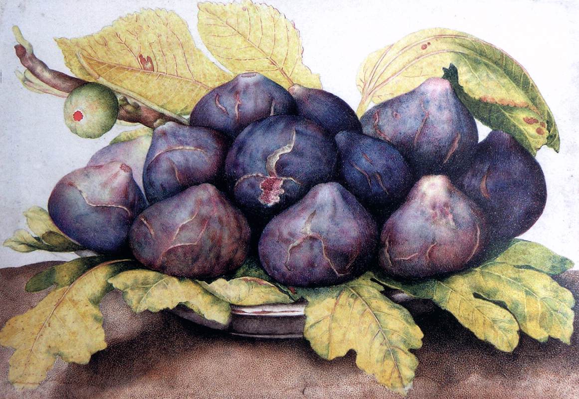 Assiette de figues