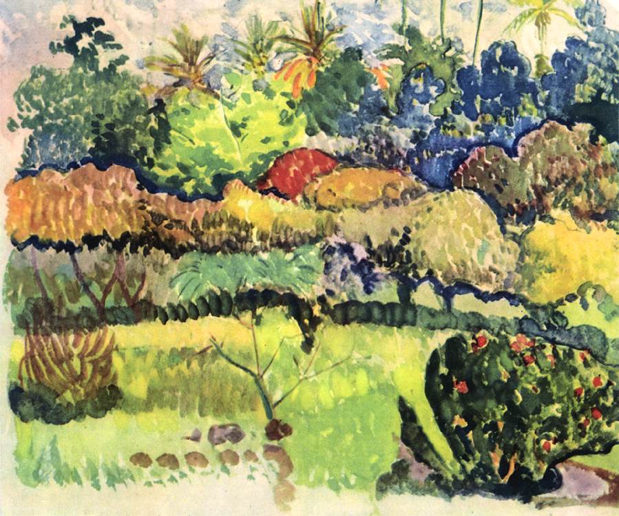 Paysage tahitien