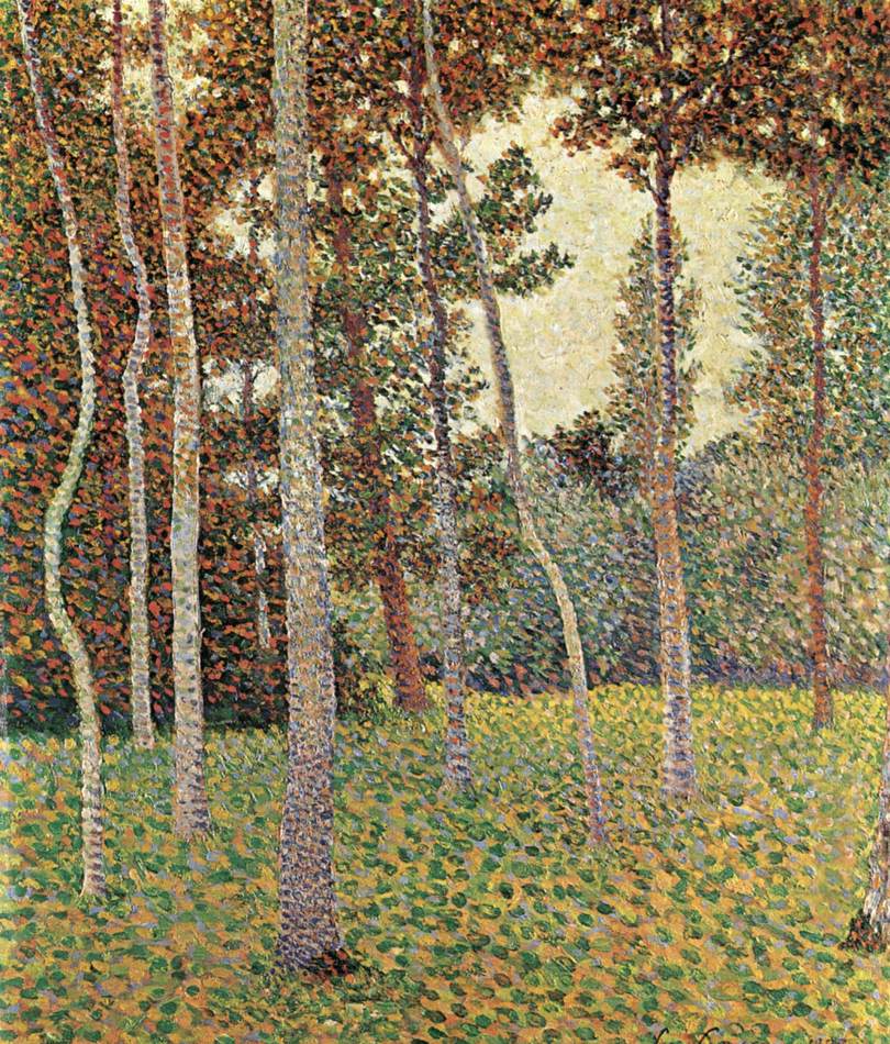 Sous-bois
