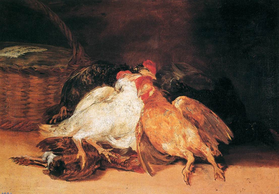 Oiseaux morts