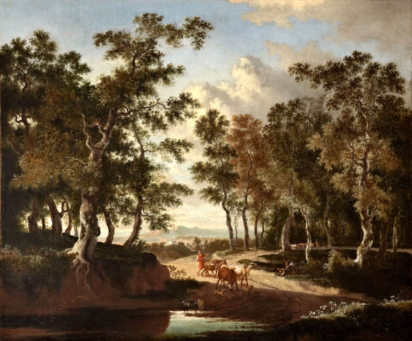 Paysage boisé