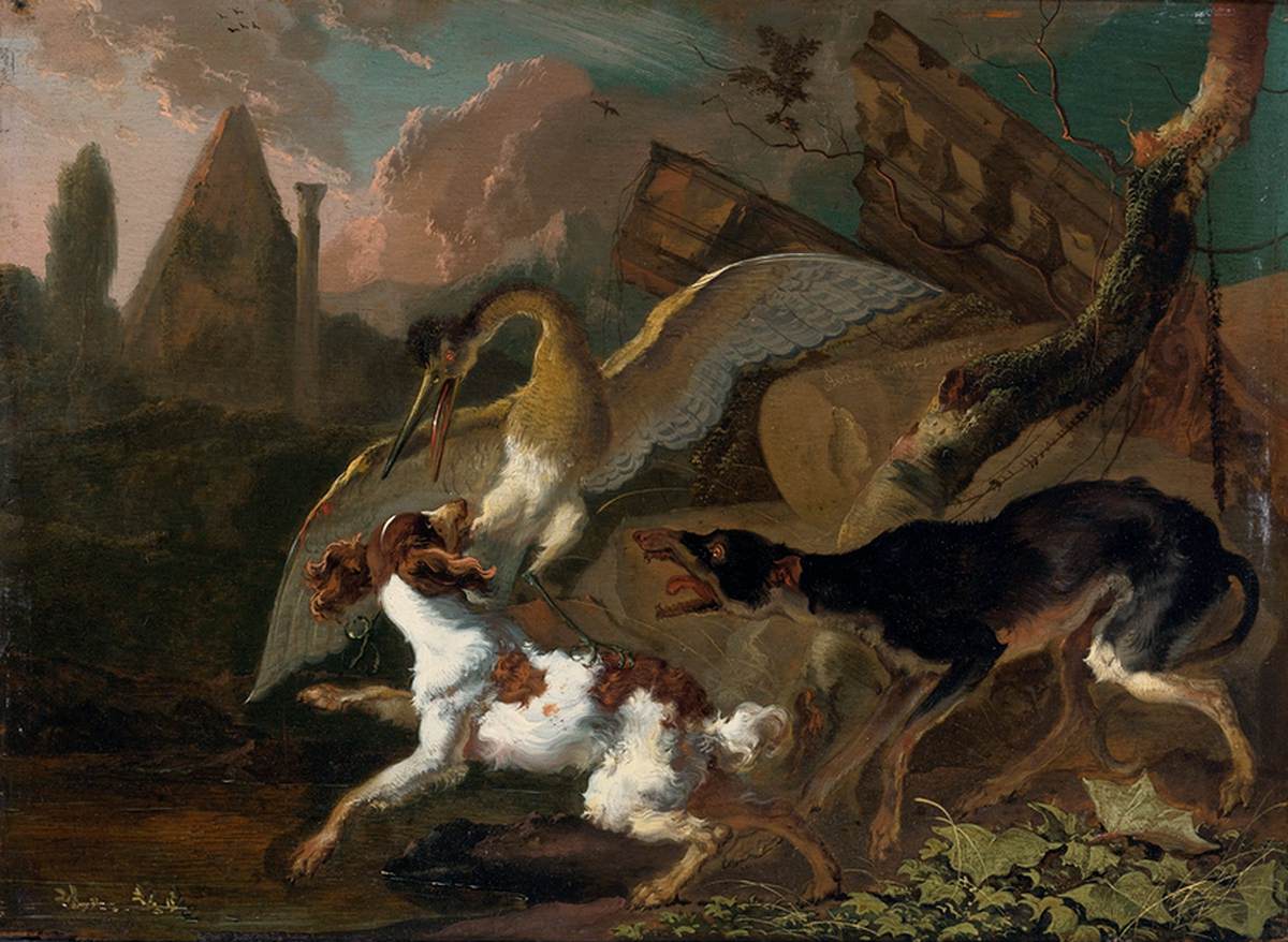 Combat d'un oiseau et d'un chien