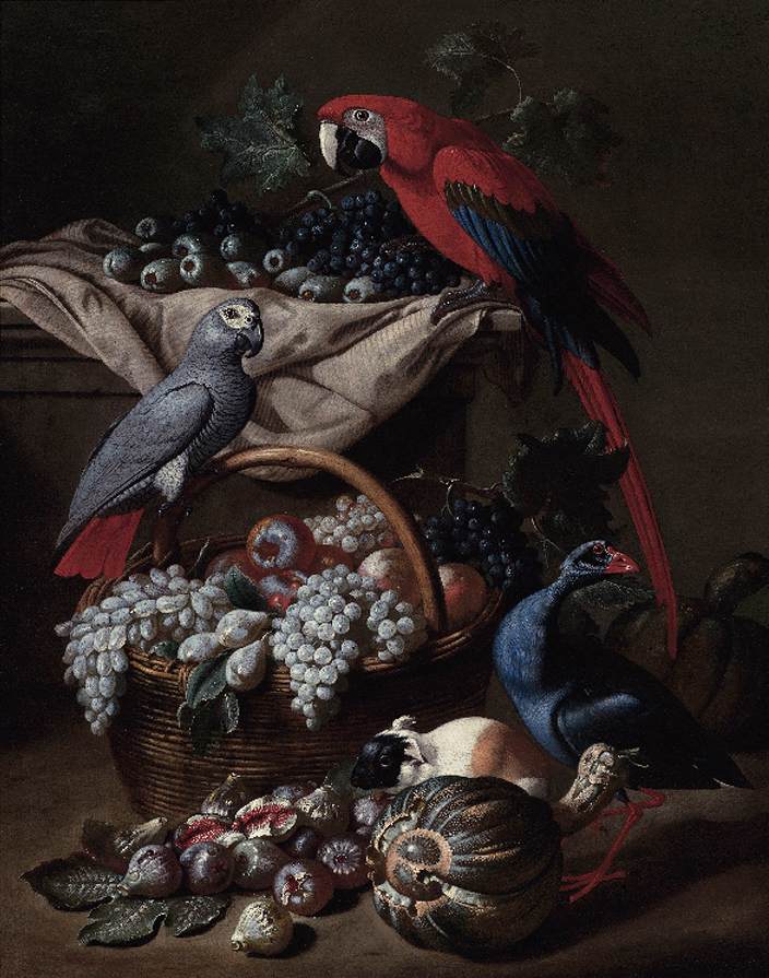 nature-morte