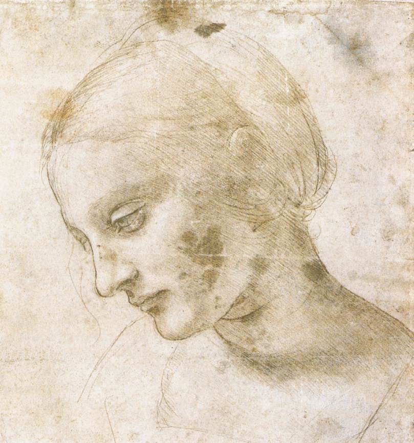 étude de woman's head