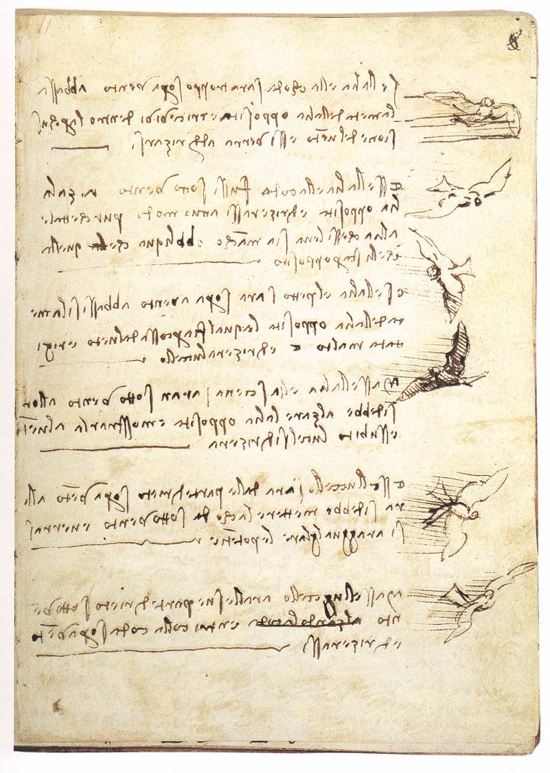 Codex sur le vol des oiseaux