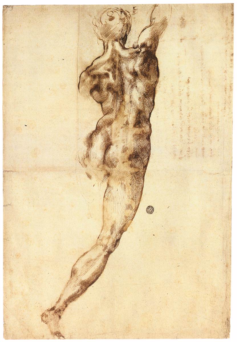 Homme nu vu de dos
