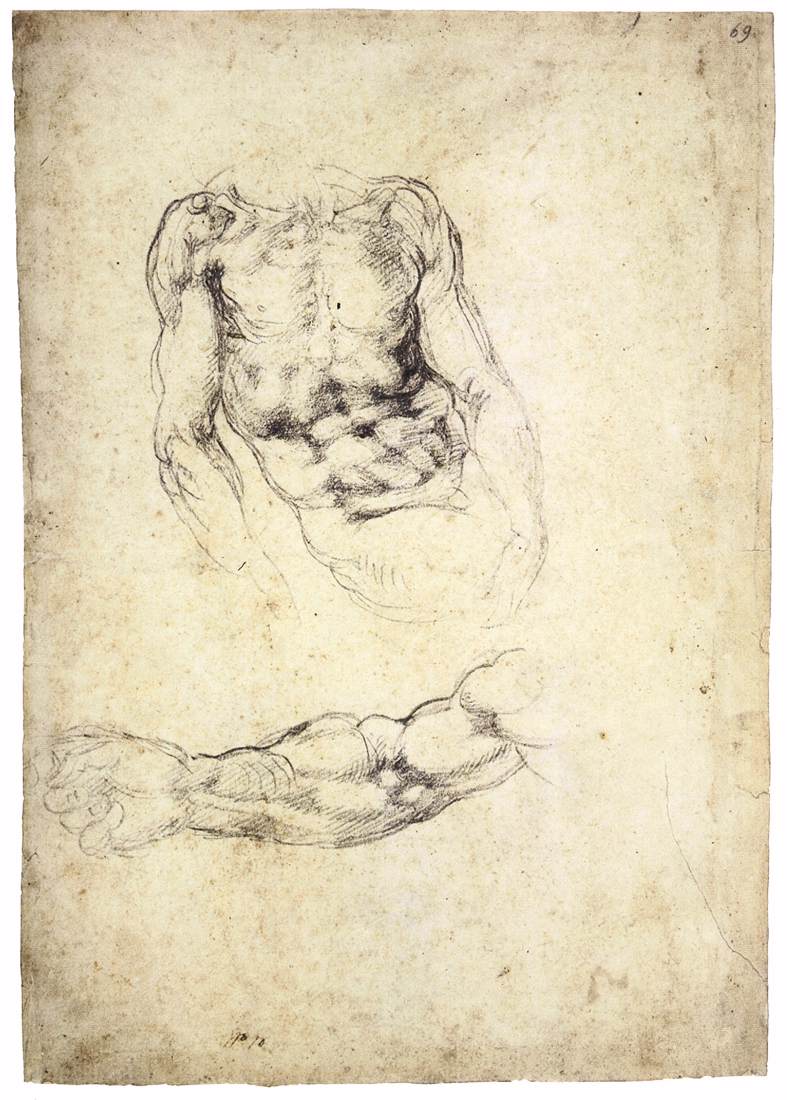 Buste d'un homme assis et étude d'un bras droit (recto)