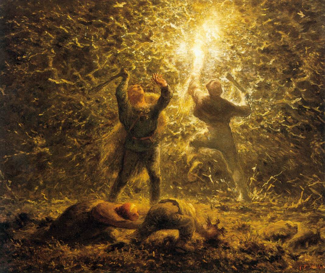 Chasse aux oiseaux la nuit