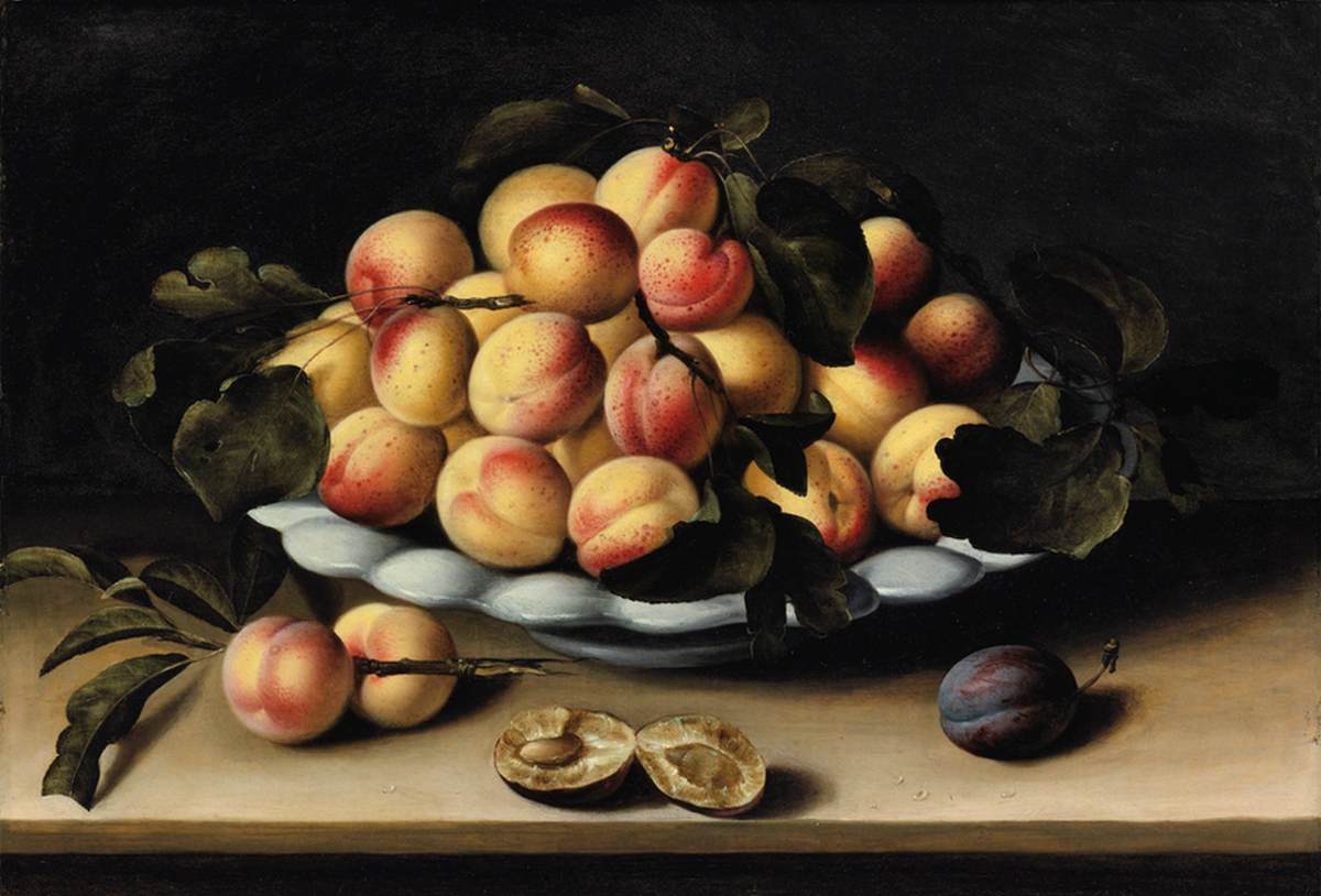 nature-morte