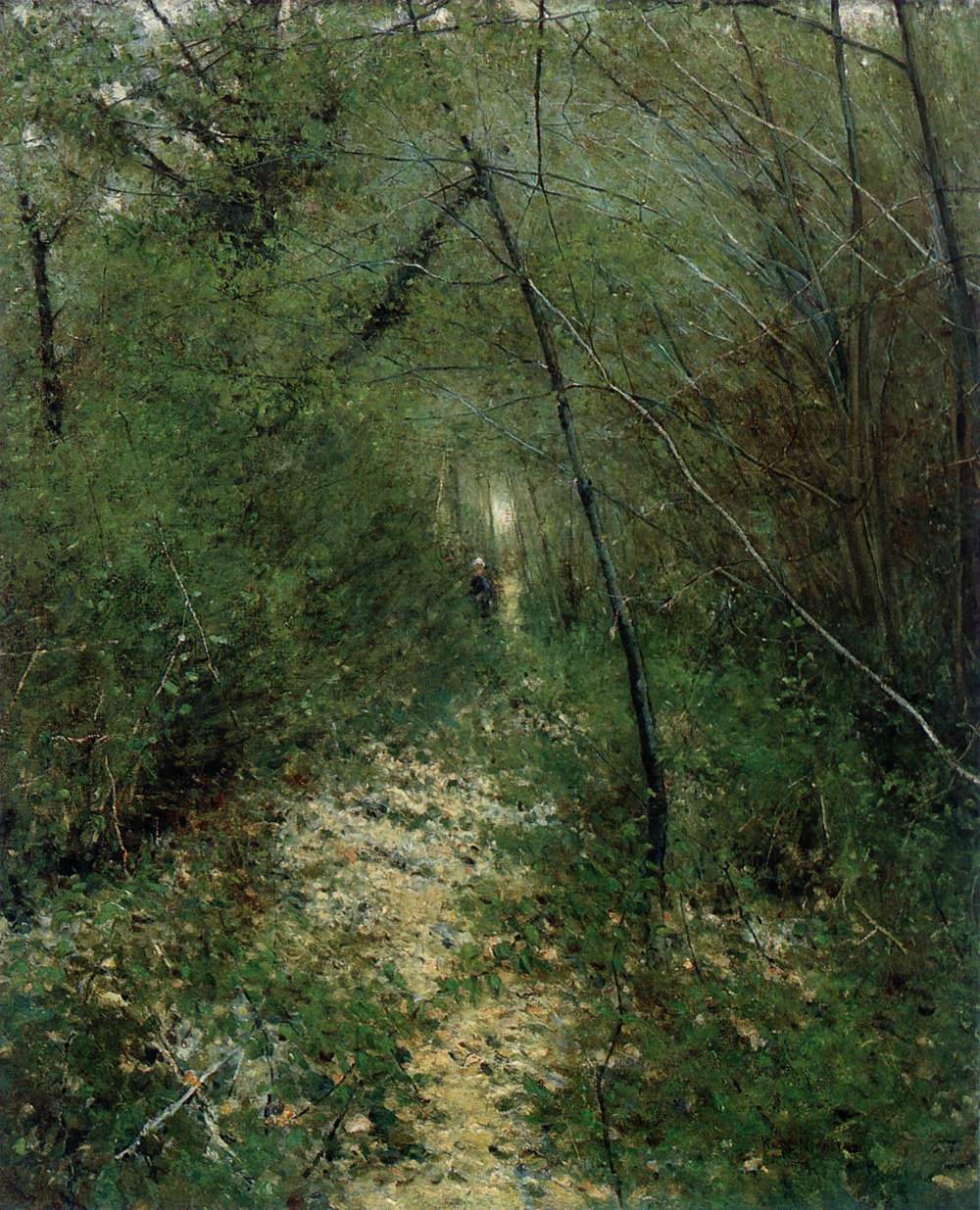 Une clairière dans les bois de Grèz