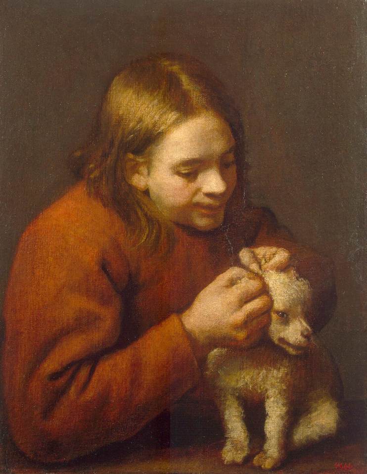 Garçon cherchant des puces sur un chien