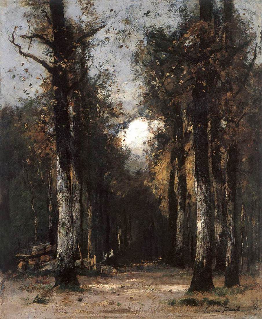 La profondeur de la forêt