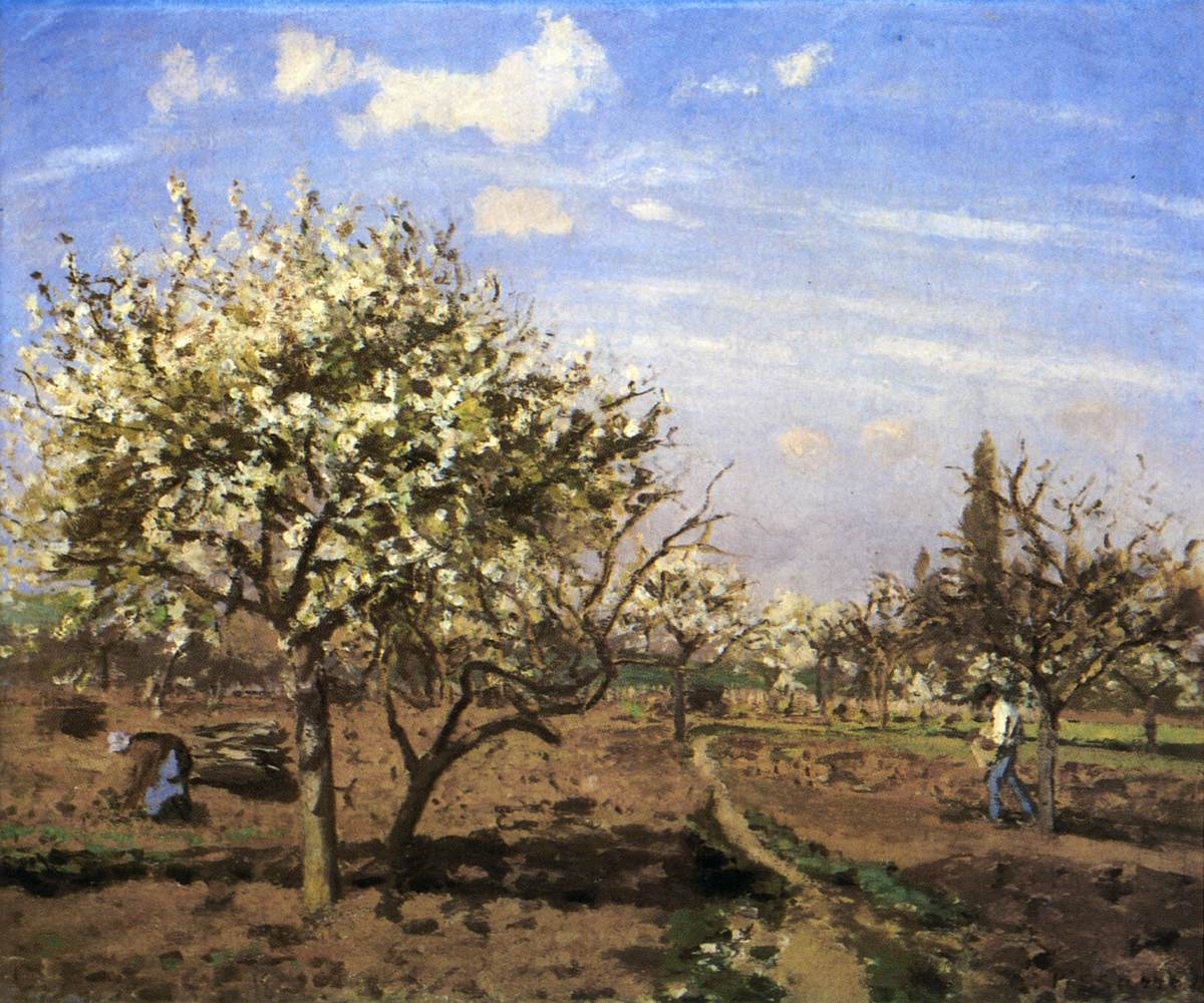 Verger en fleurs à Louveciennes
