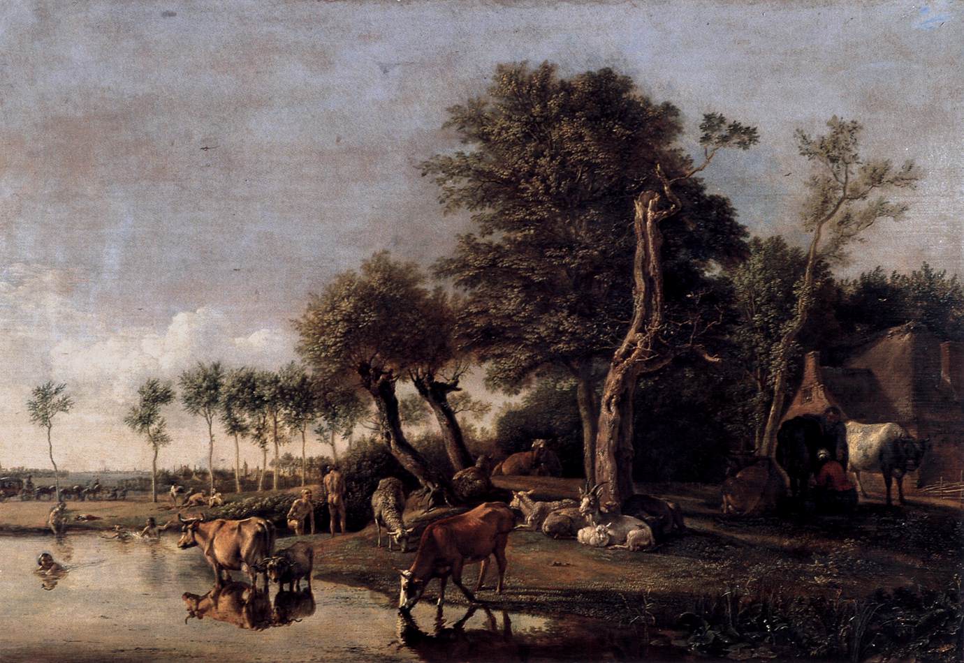 Vaches se reflétant dans l'eau