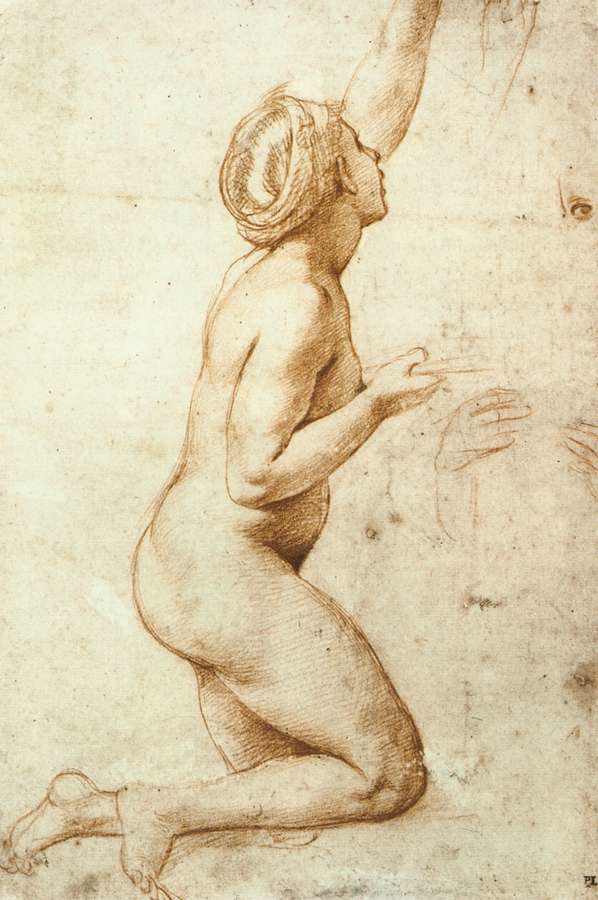 Femme nue agenouillée