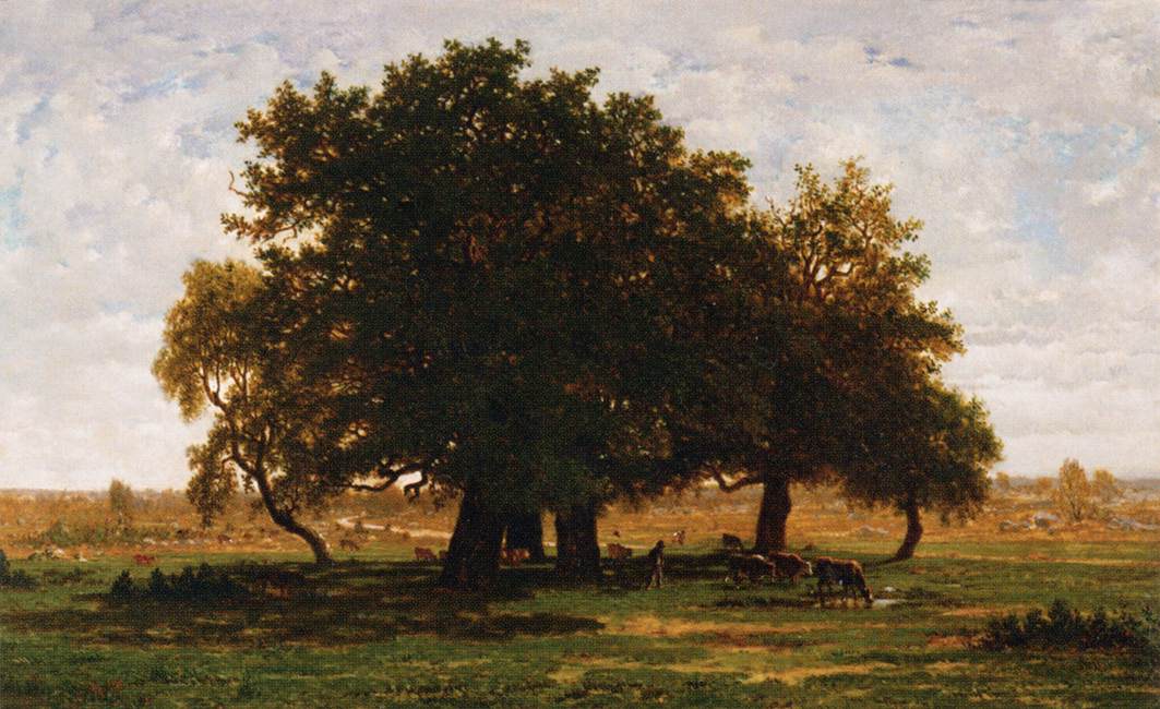 Bosquet de chênes à Apremont