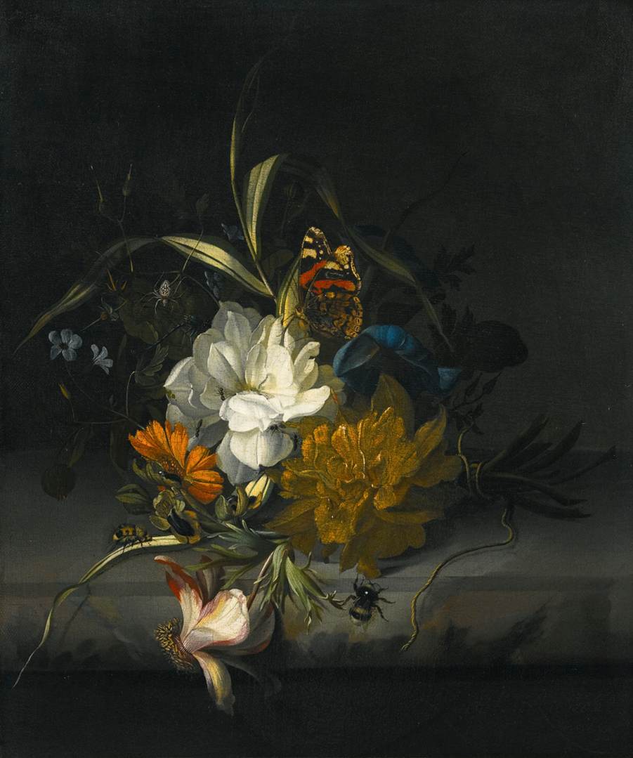 nature-morte