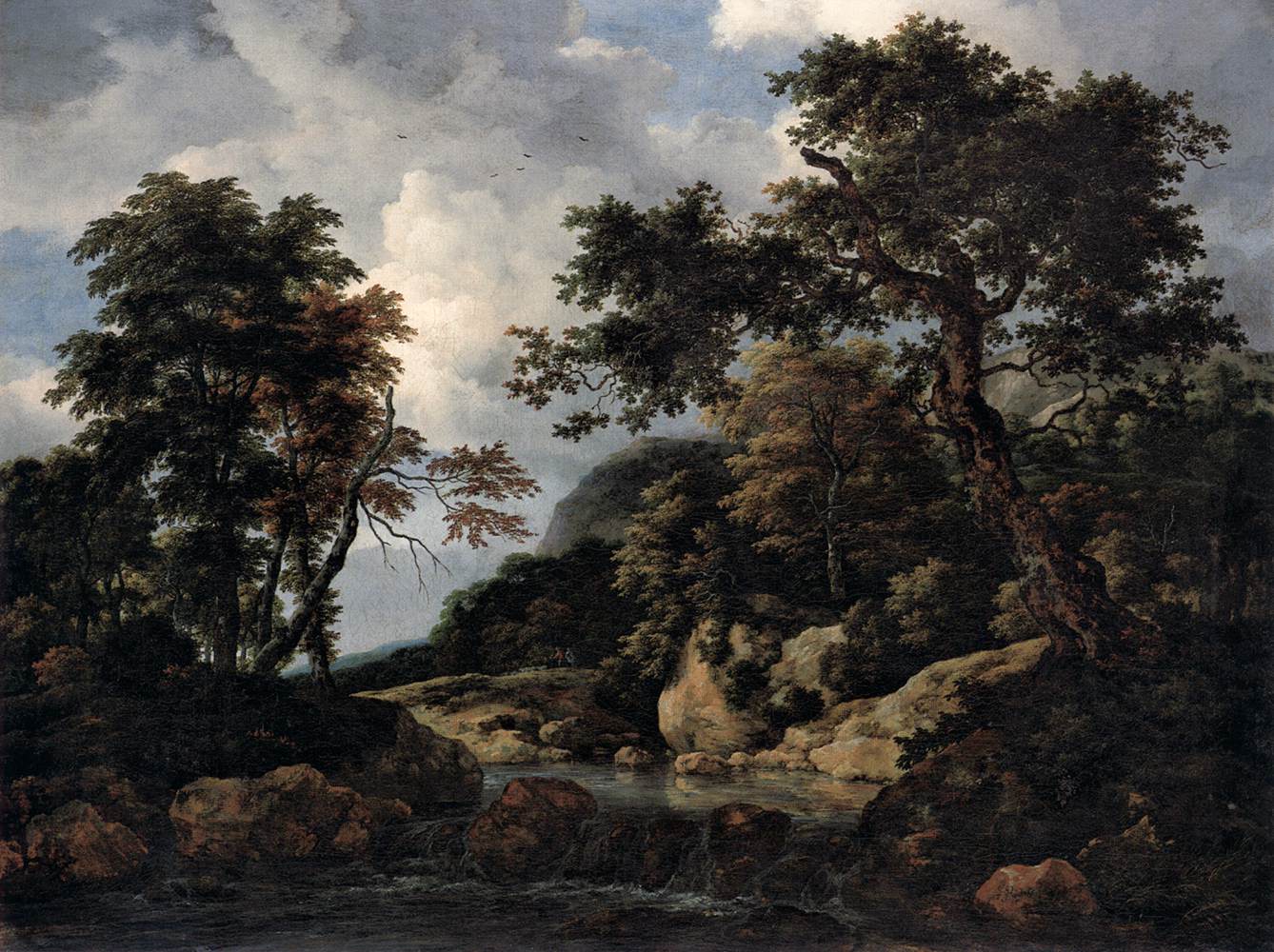 Le ruisseau de la forêt