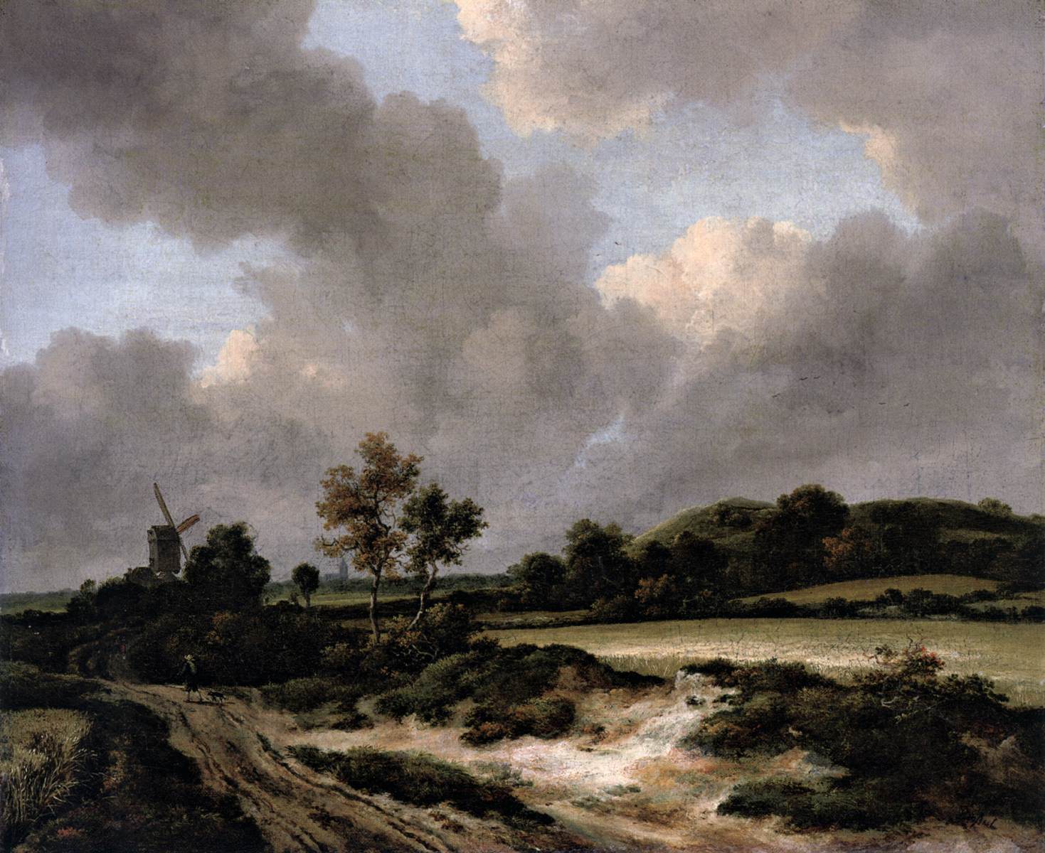 Champs de blé