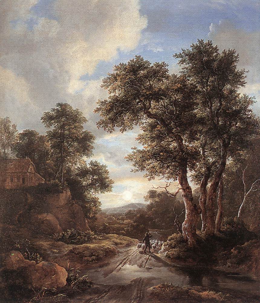 Lever du soleil dans un bois