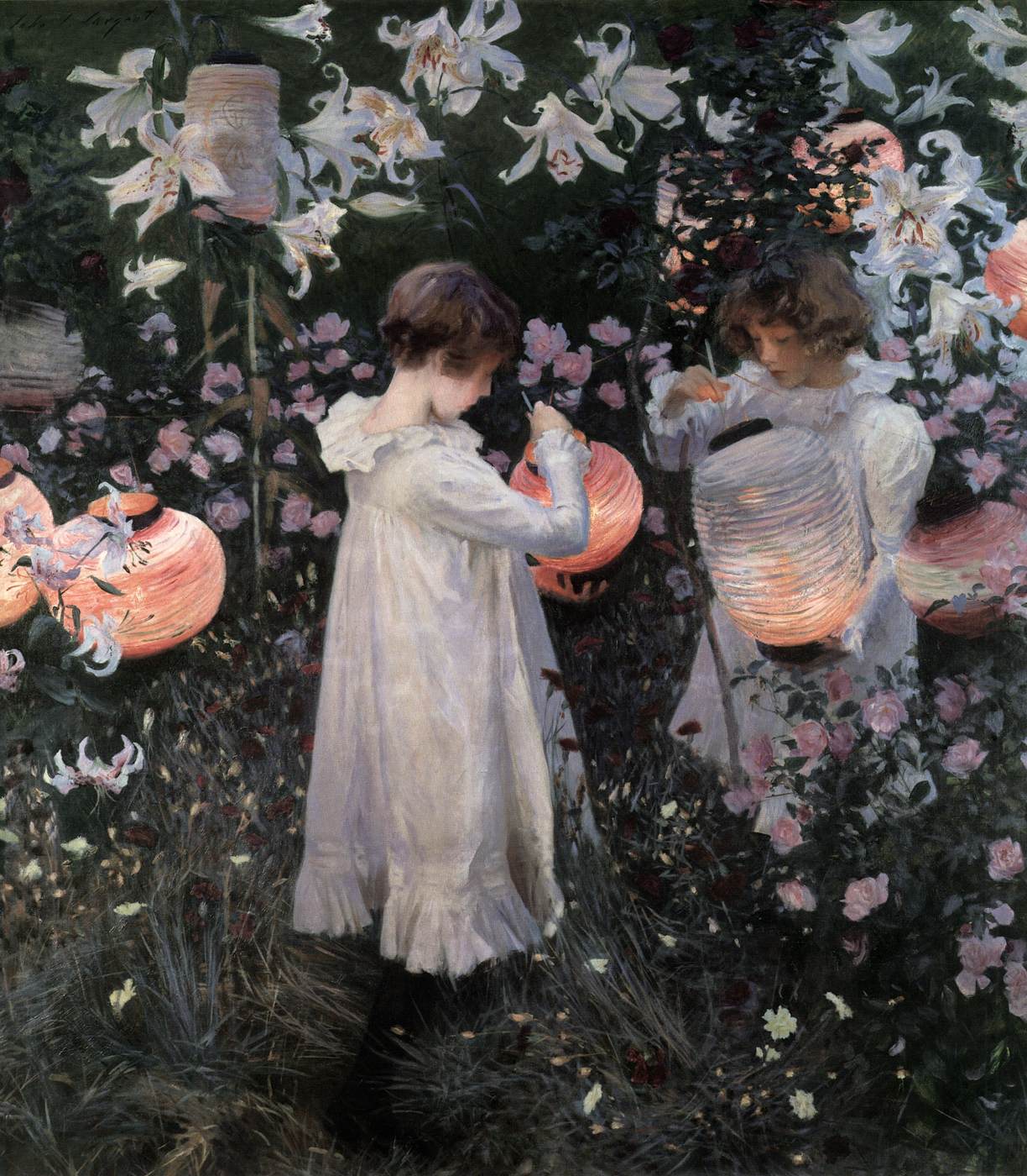 Œillet, lys, lys, rose