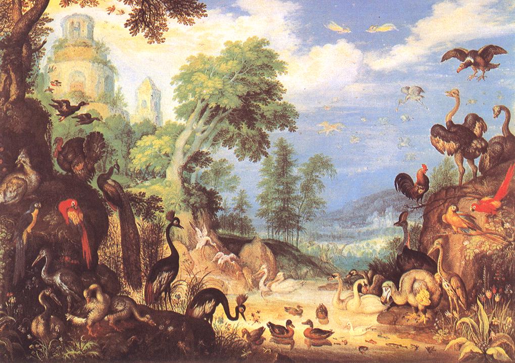 paysage avec Birds