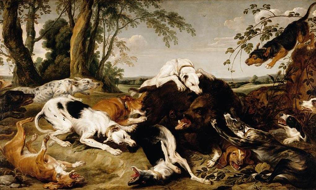 Chiens abattant un sanglier