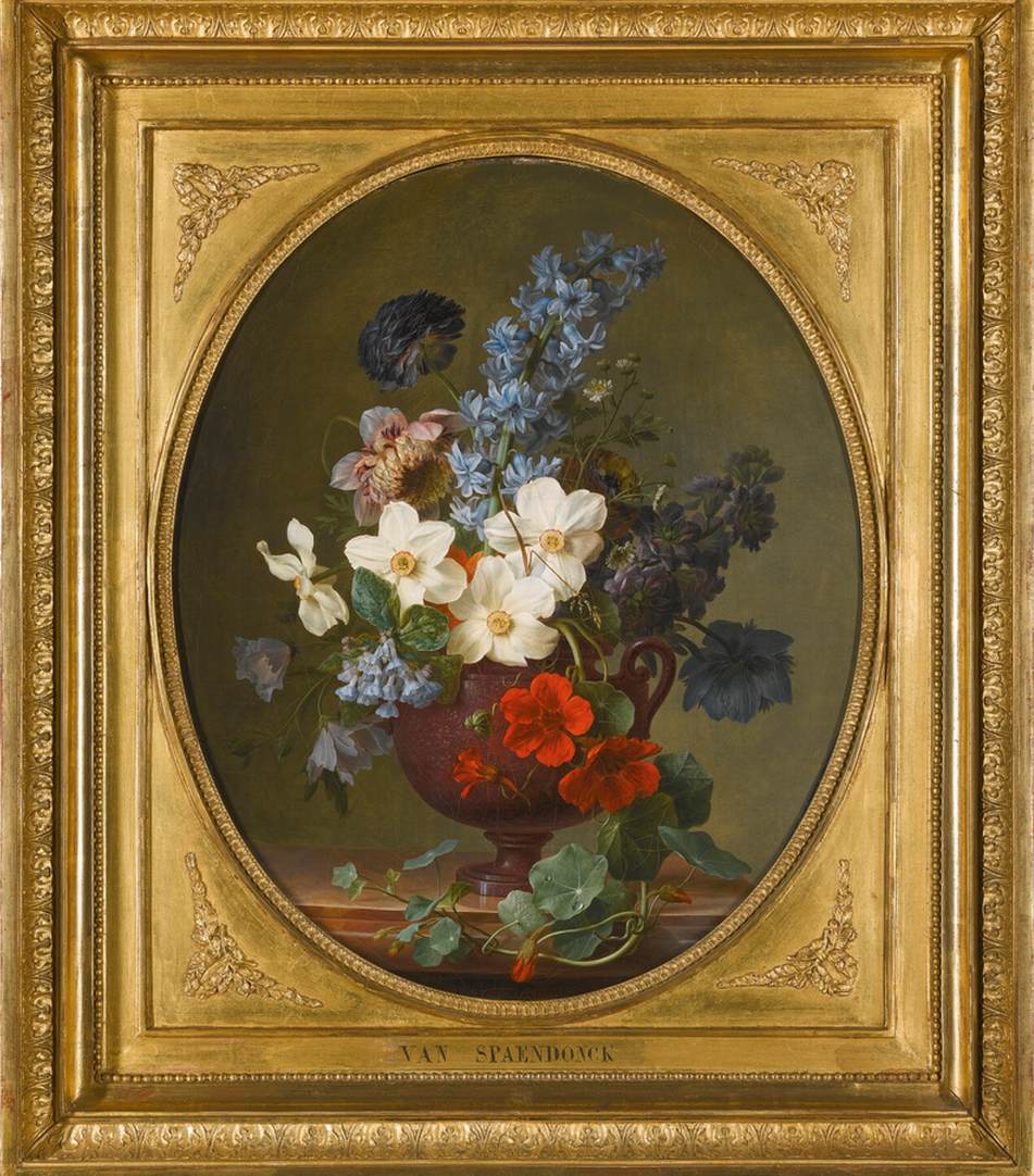 nature-morte